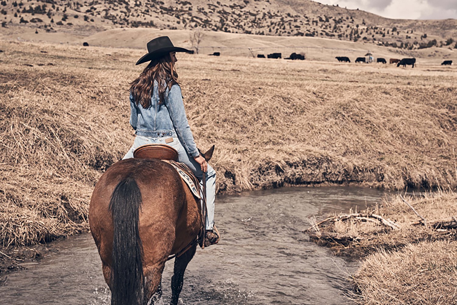 Wrangler Women's Western Unlined Denim Jacket - view number 5