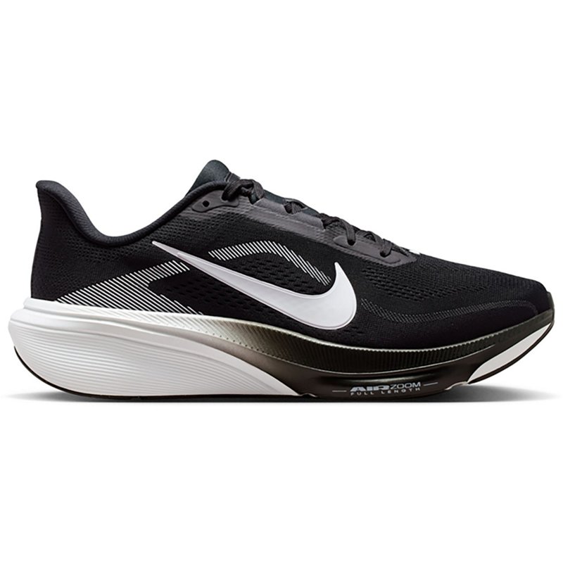 Nike Men's Pegasus …