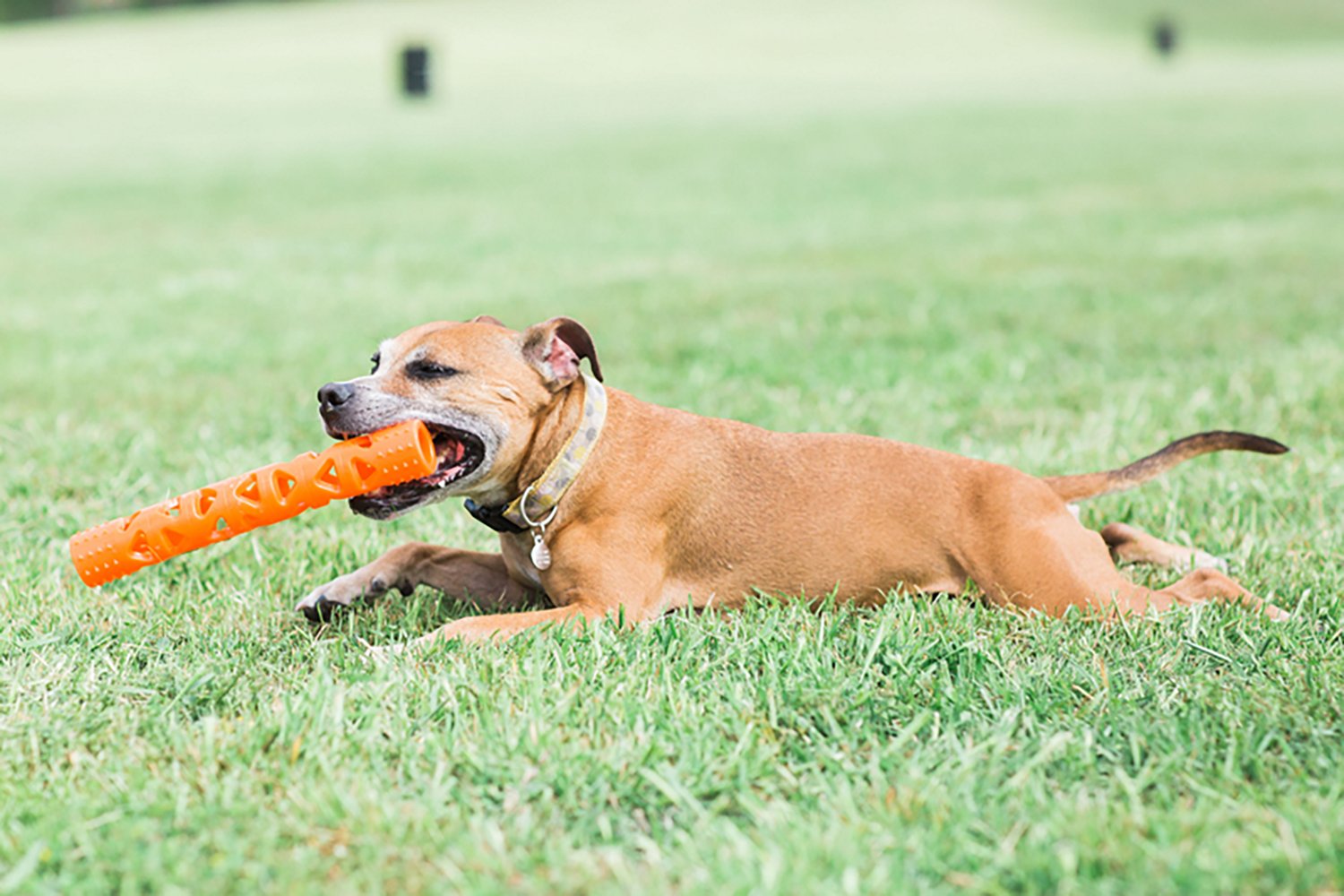 Chuckit! Breathe Right Stick - view number 3