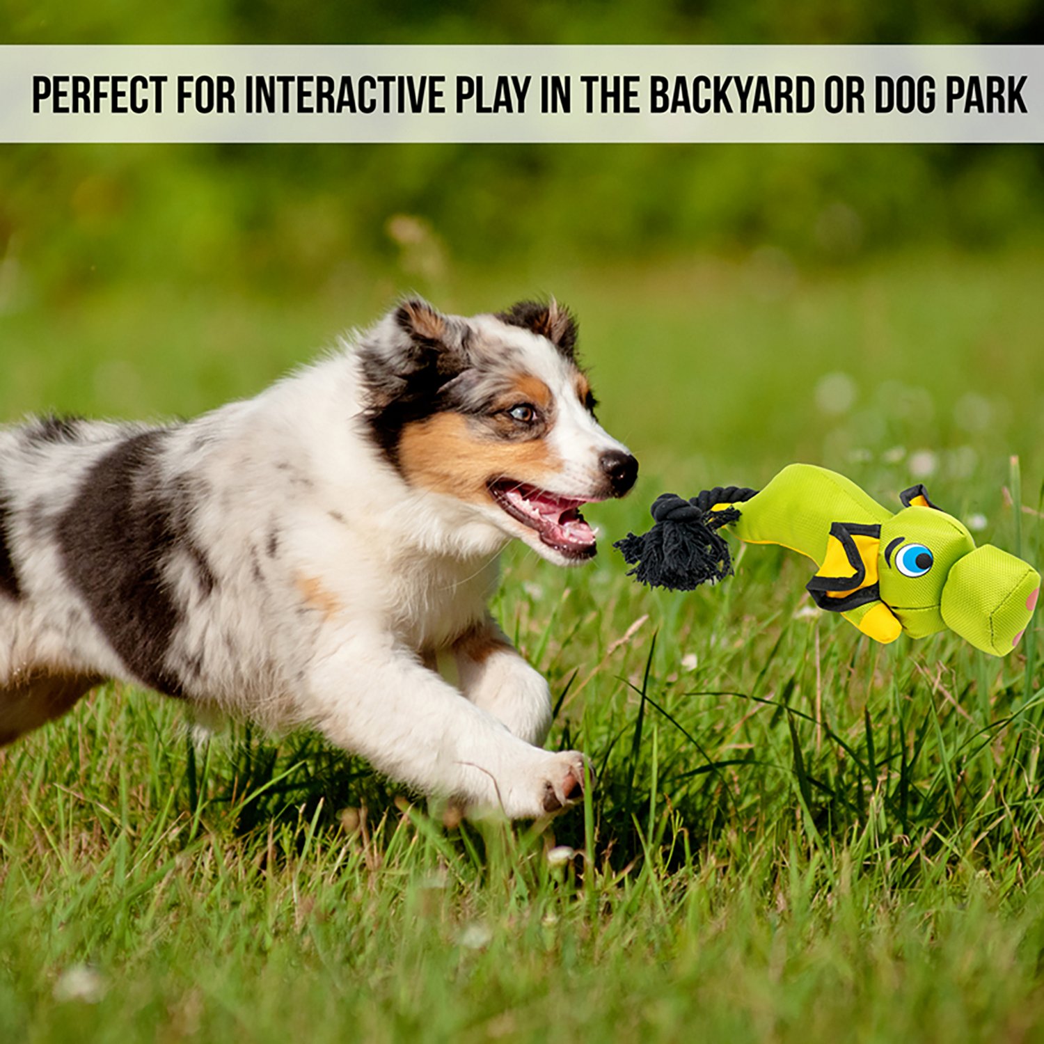 Hyper Pet Flying Pig Dog Toy - view number 4