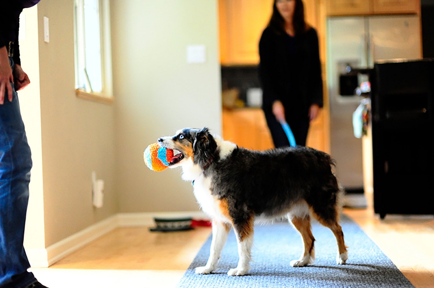 Chuckit! Indoor Ball - view number 4