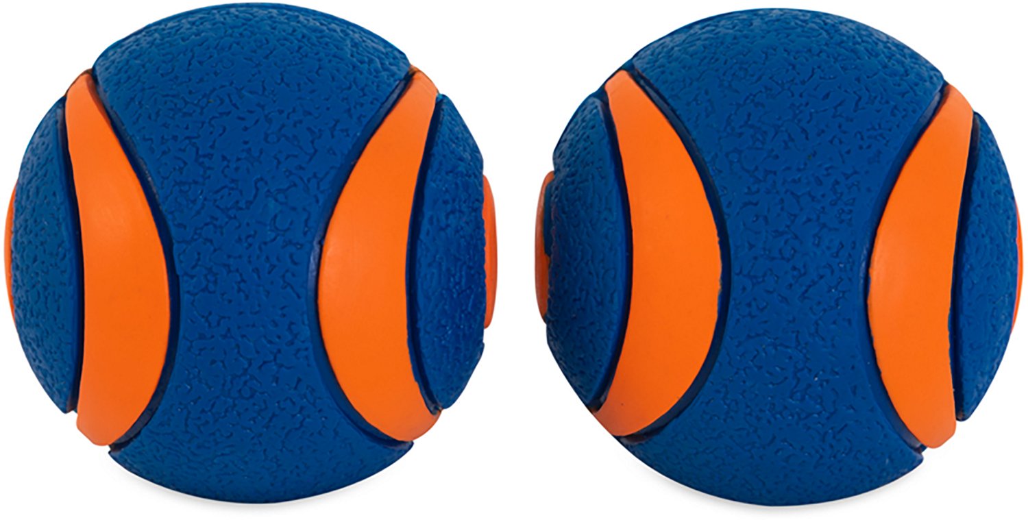 Chuckit! Ultra Squeaker Balls 2-Pack - view number 2