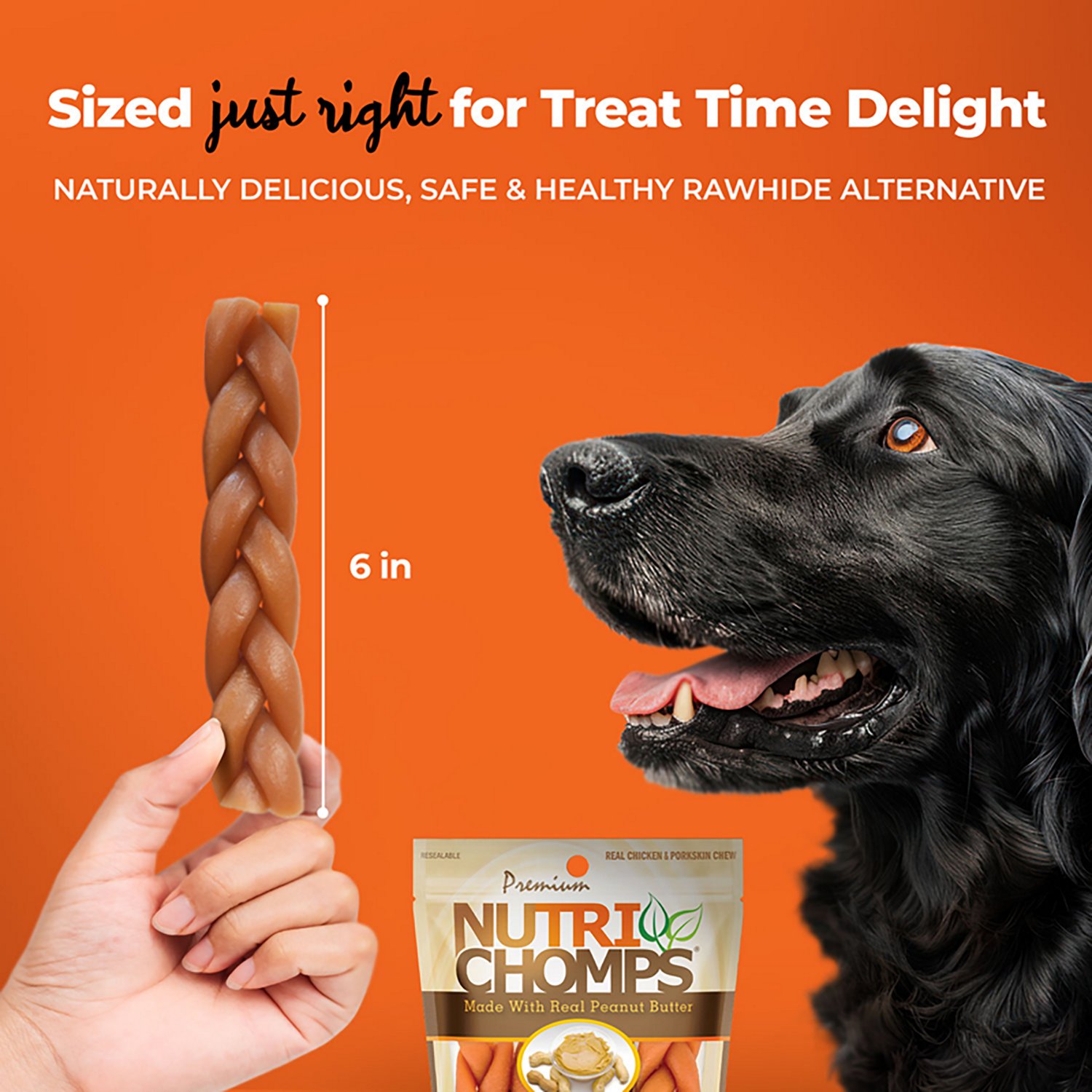 Nutri Chomps 6 in. Peanut Butter Flavor Braids 4-count - view number 4