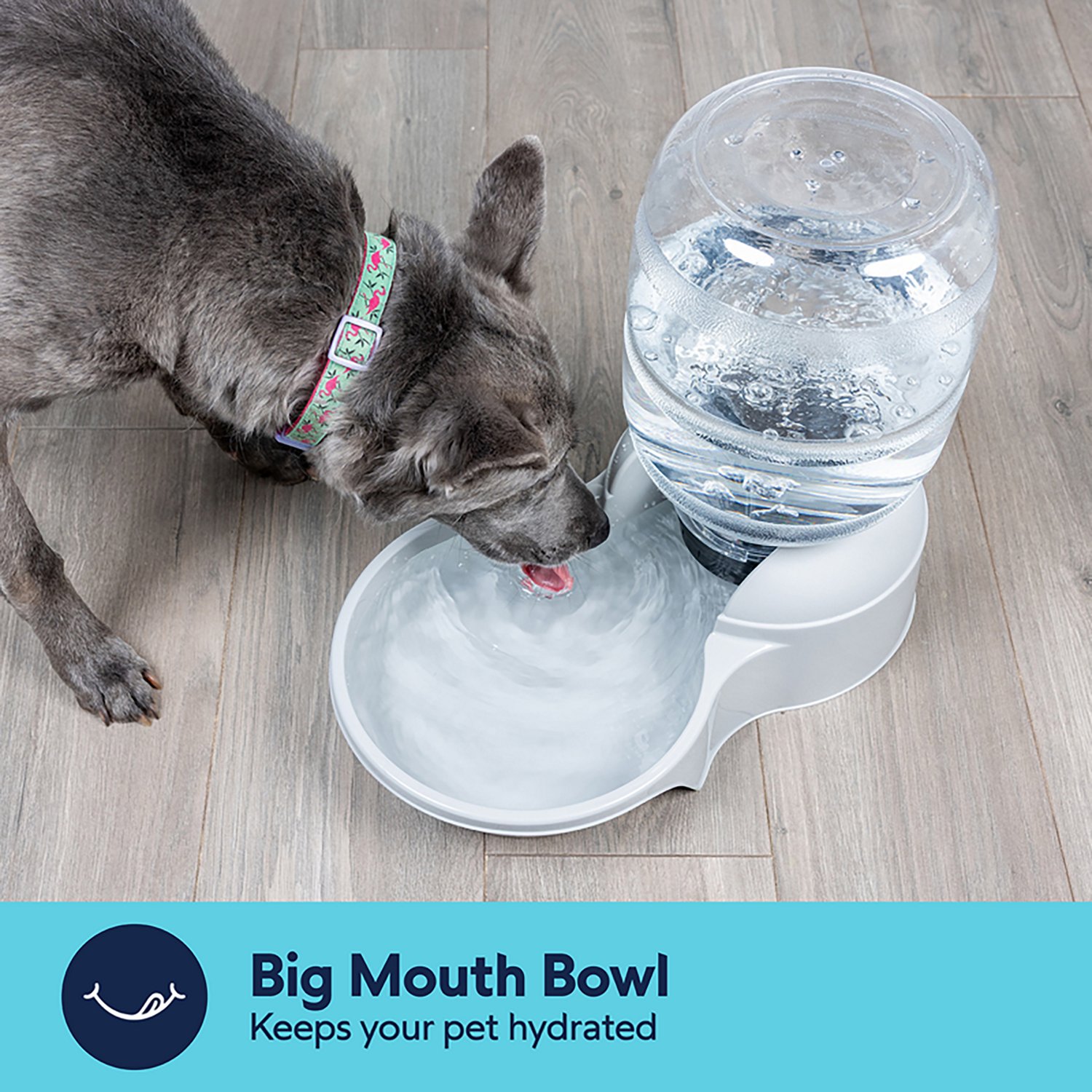 Petmate Lebistro 2.5 Gallon Waterer - view number 4