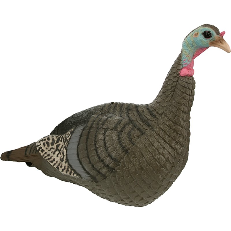 HS Strut Lite Jake & Feeding Hen Decoy Combo