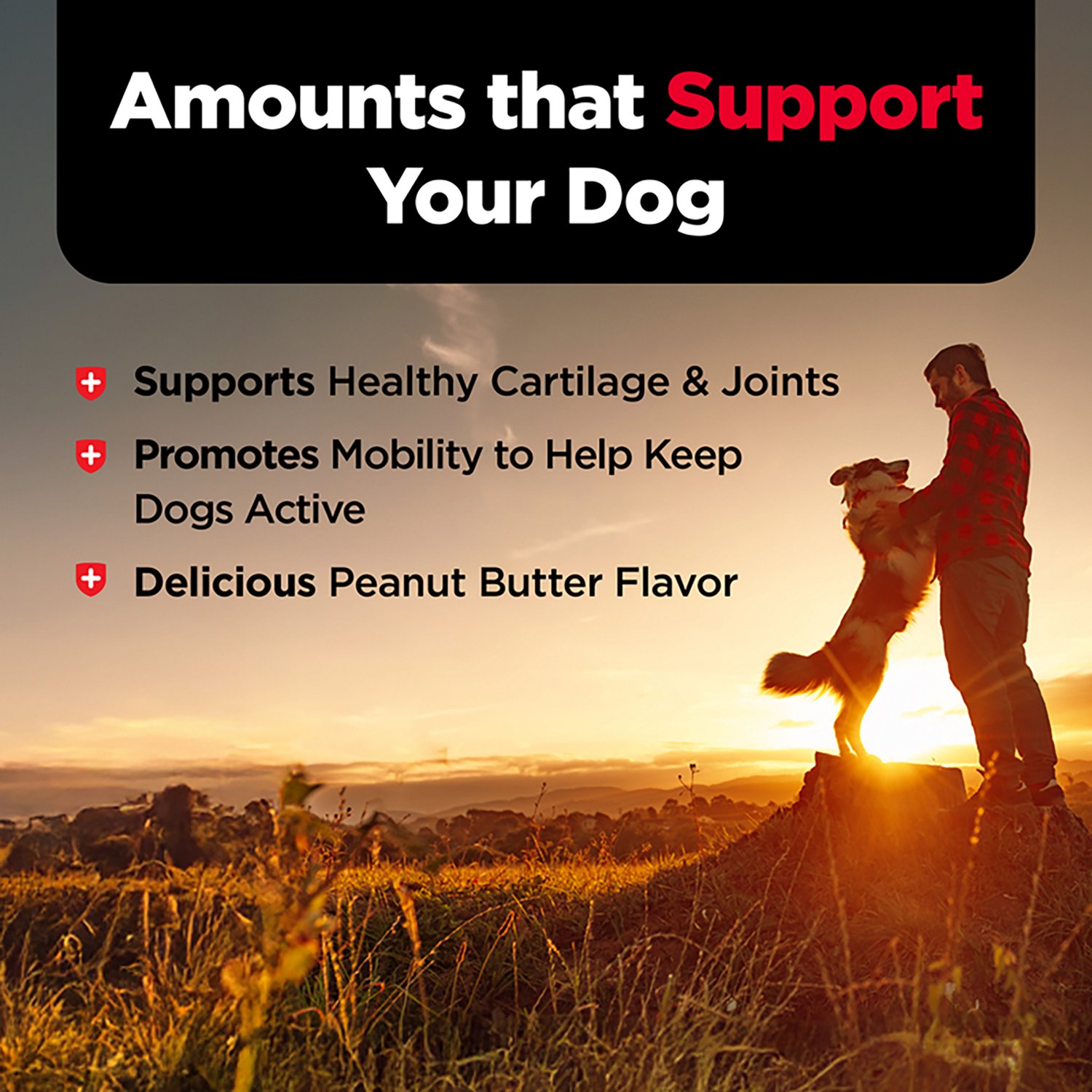 Nutrivet K9 Hip & Joint 16 oz Biscuits