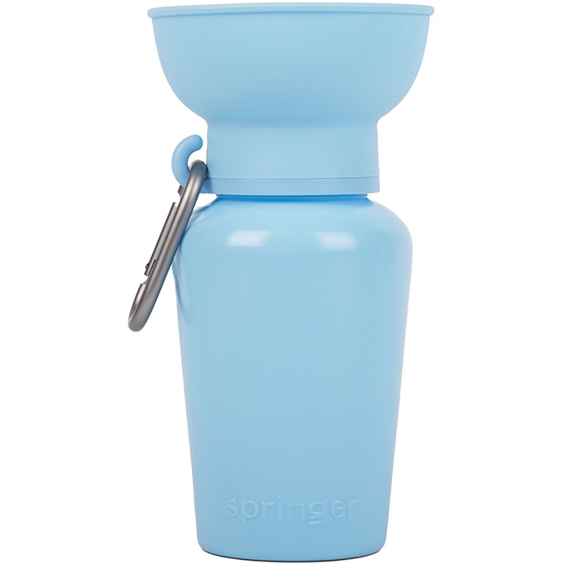Springland 20 oz. Flip Travel Bottle