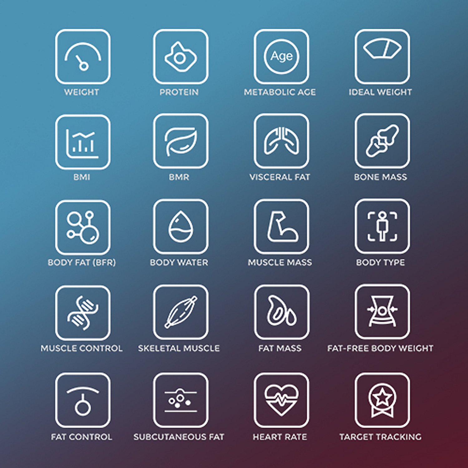 Sunny Health & Fitness Composition BMI Smart Fitness Scale - view number 4