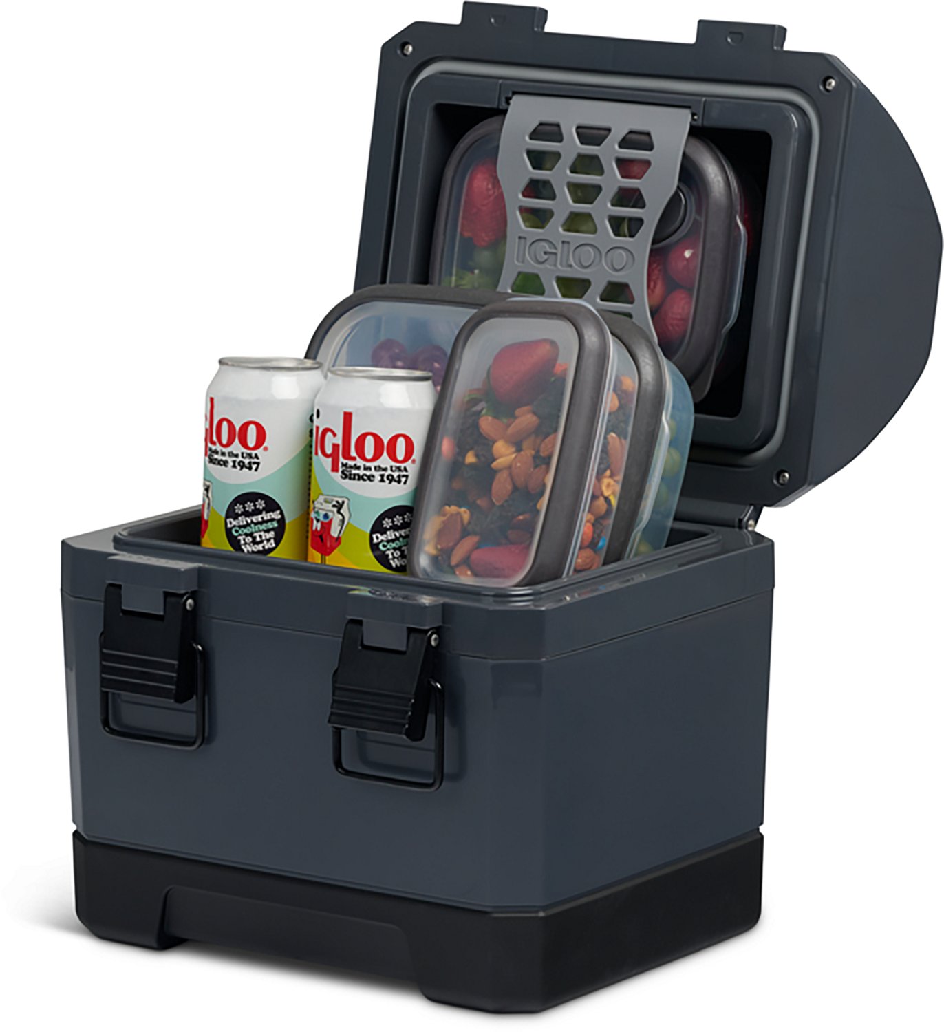 Igloo Coolbox 10 qt Cooler - view number 7