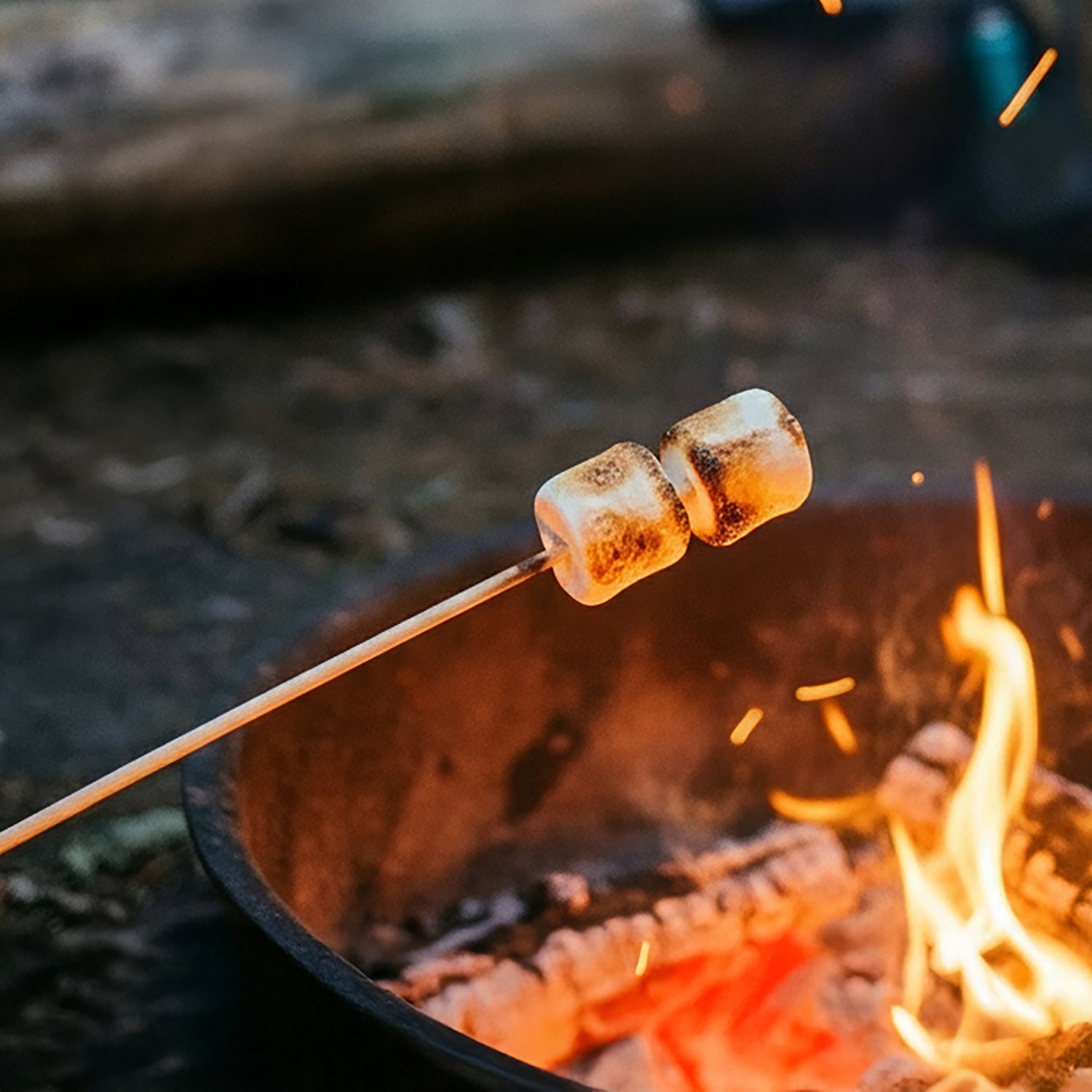 Coghlan's Bamboo Roasting Sticks 12 Pack - view number 6