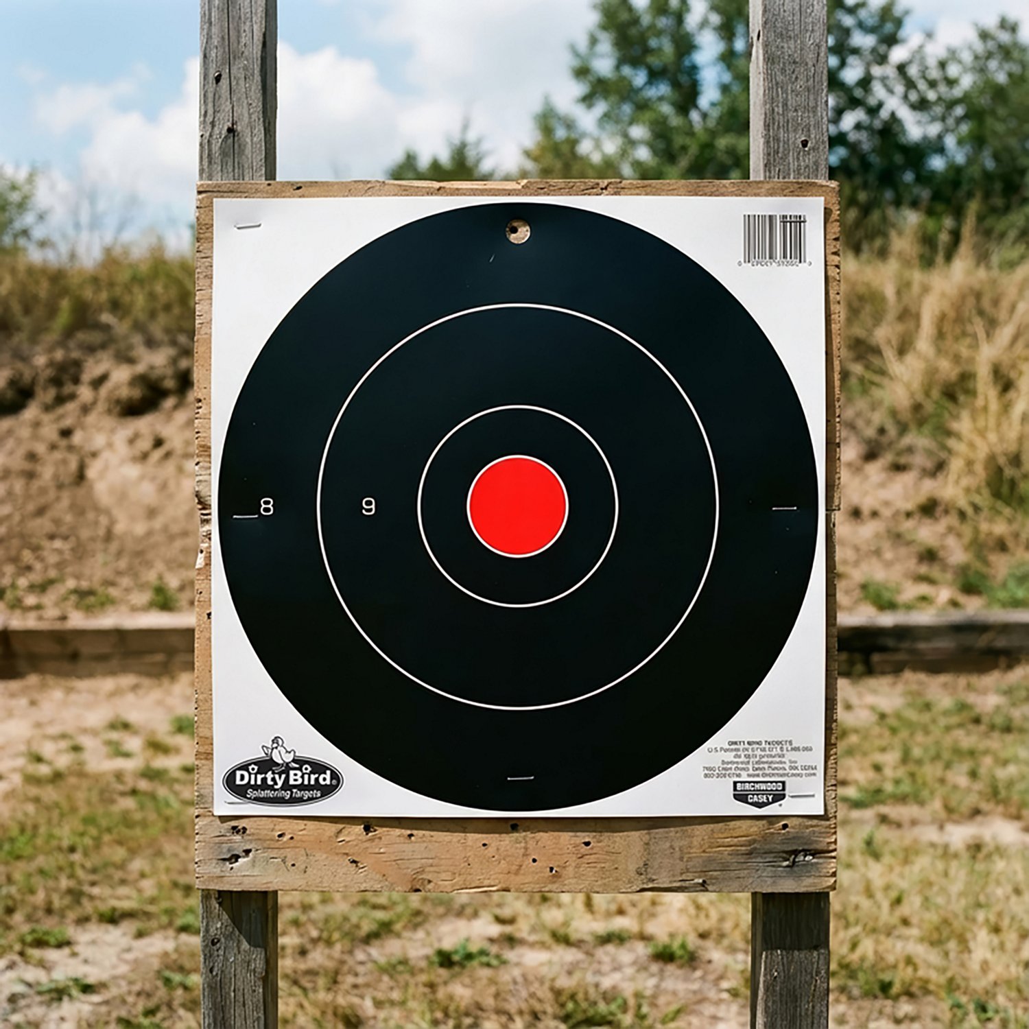 Birchwood Casey Dirty Bird 12-in Bull's-Eye Target Sheets 12-Pack                                                                - view number 2