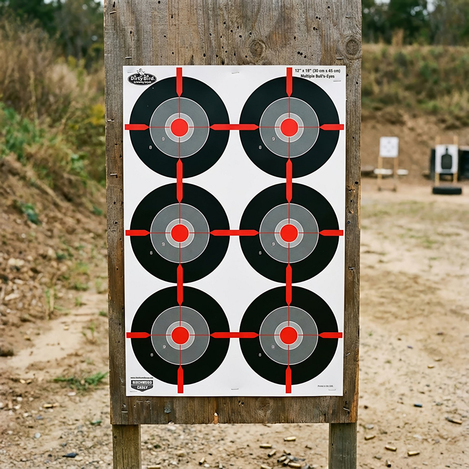 Birchwood Casey Dirty Bird 12 in x 18 in Multiple Bull's-eye Targets 8-Pack - view number 2