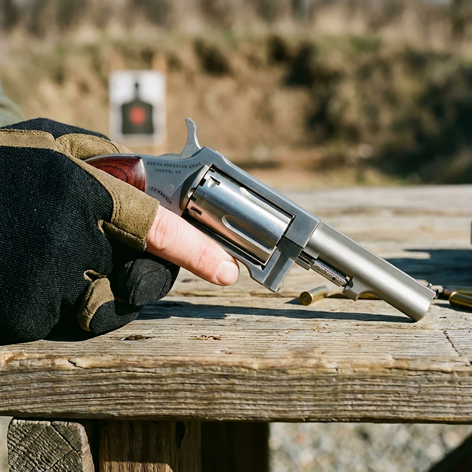 North American Arms Sidewinder .22 WMR Revolver - view number 3