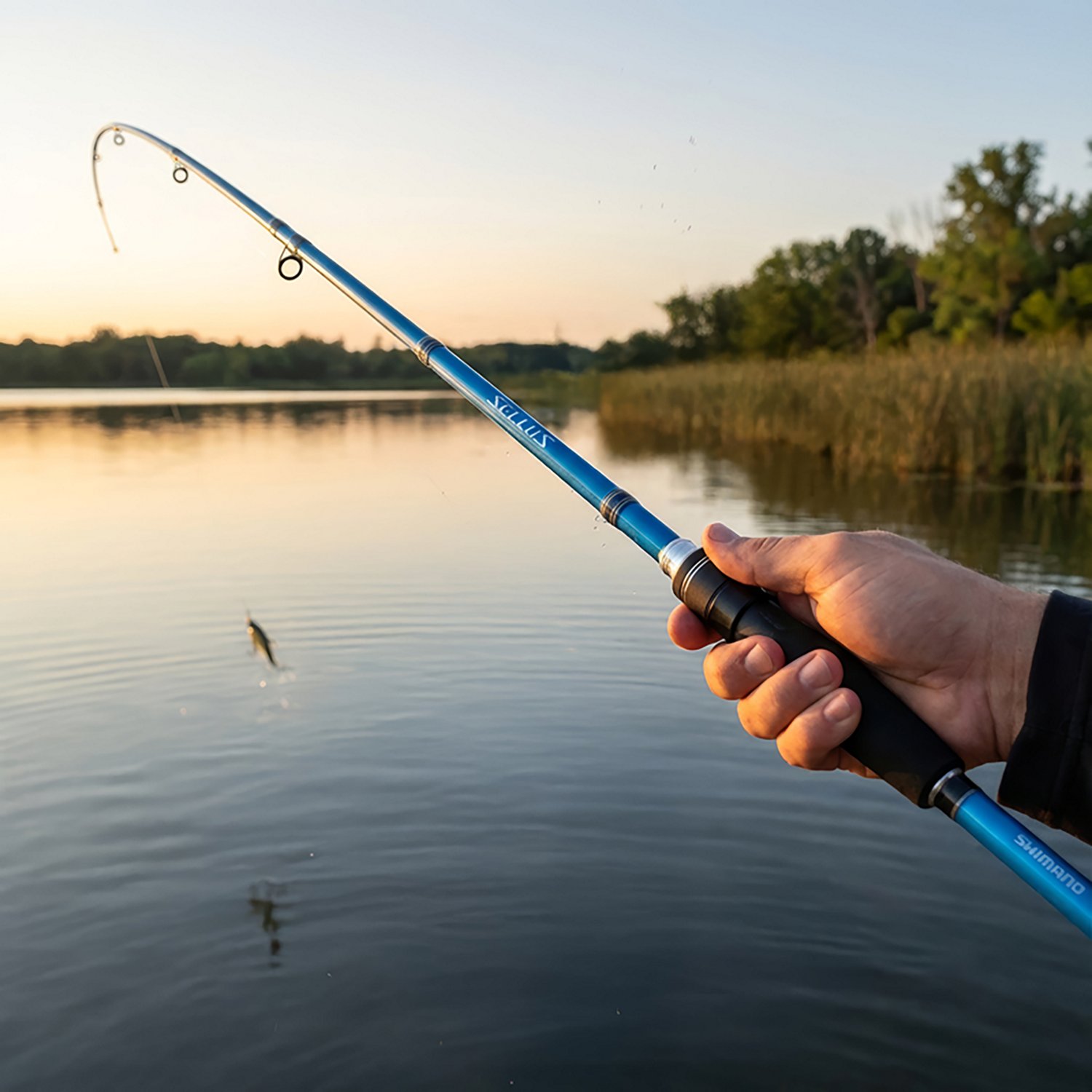 Shimano Sellus Casting A Rod - view number 4