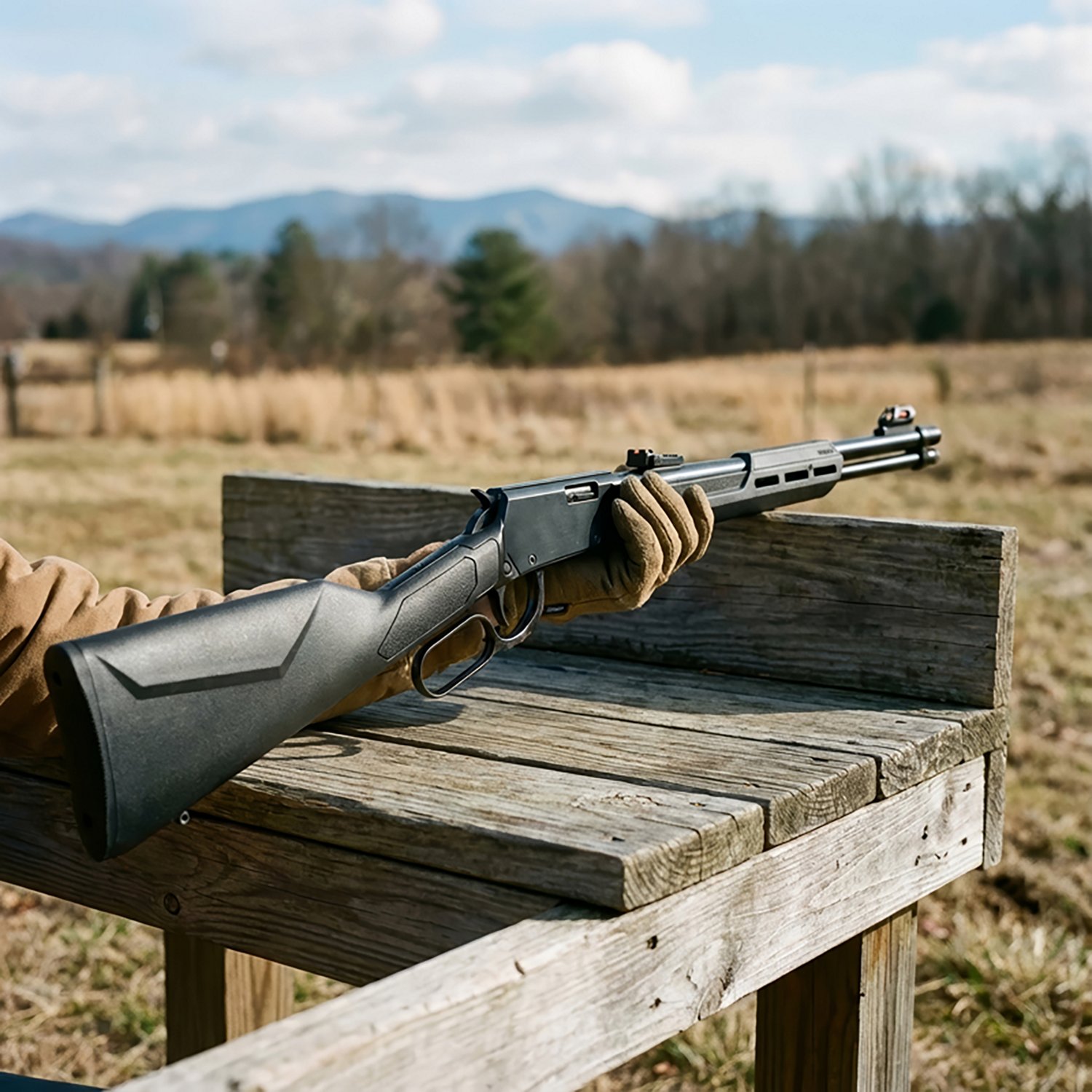 Rossi Rio Bravo 22 LR Lever Action Rifle - view number 2