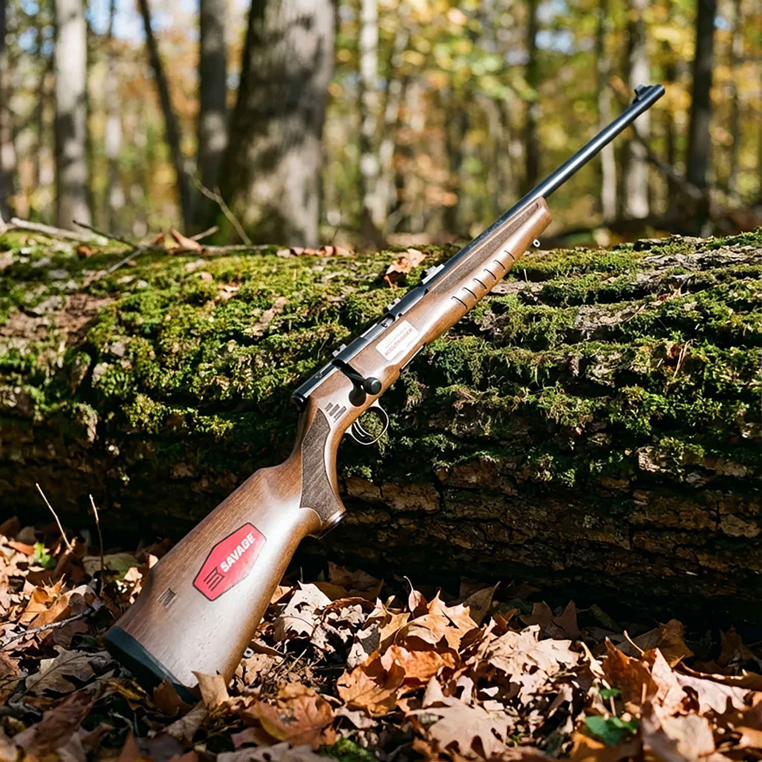 Savage Arms B22 G 22 LR 21 in Rimfire Rifle - view number 2