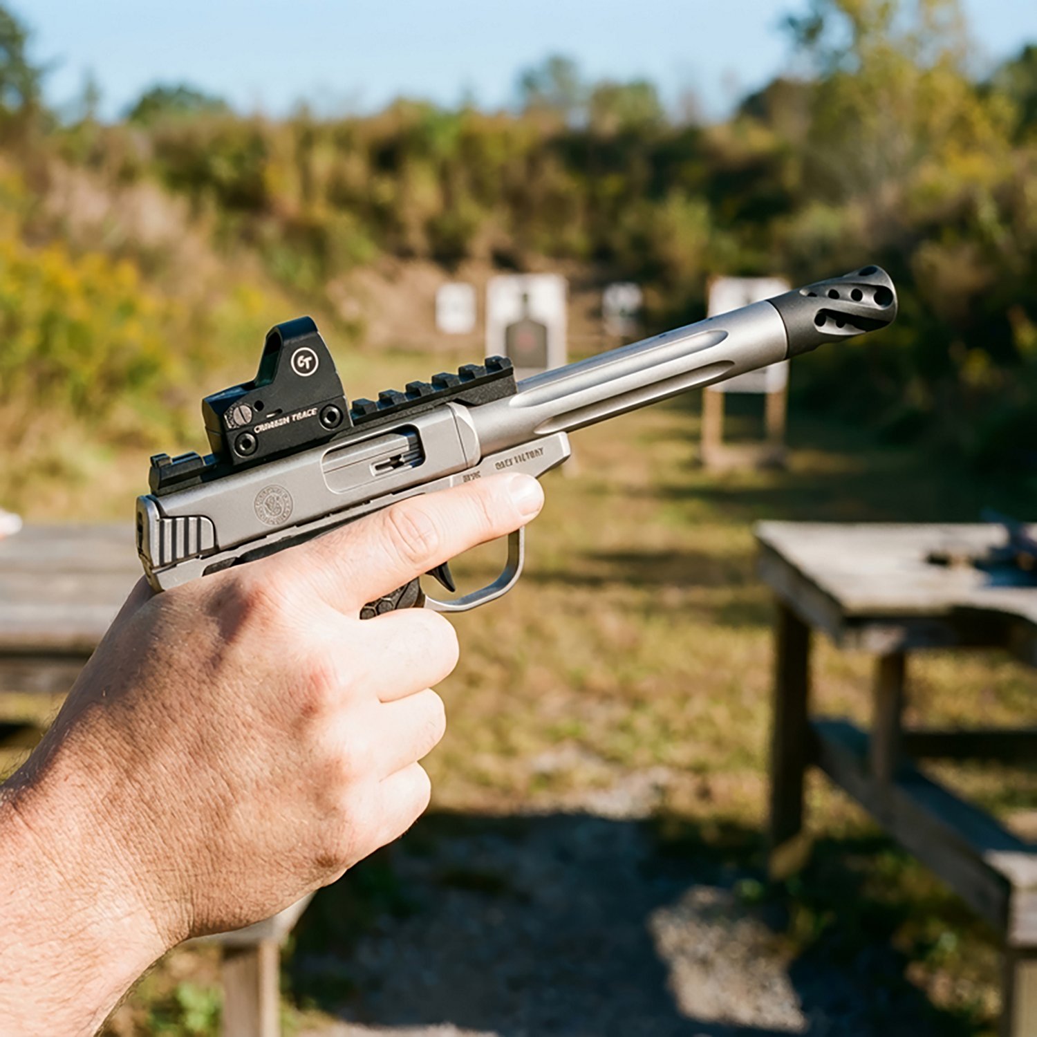 Smith & Wesson PCVictory Target .22 LR Pistol - view number 3