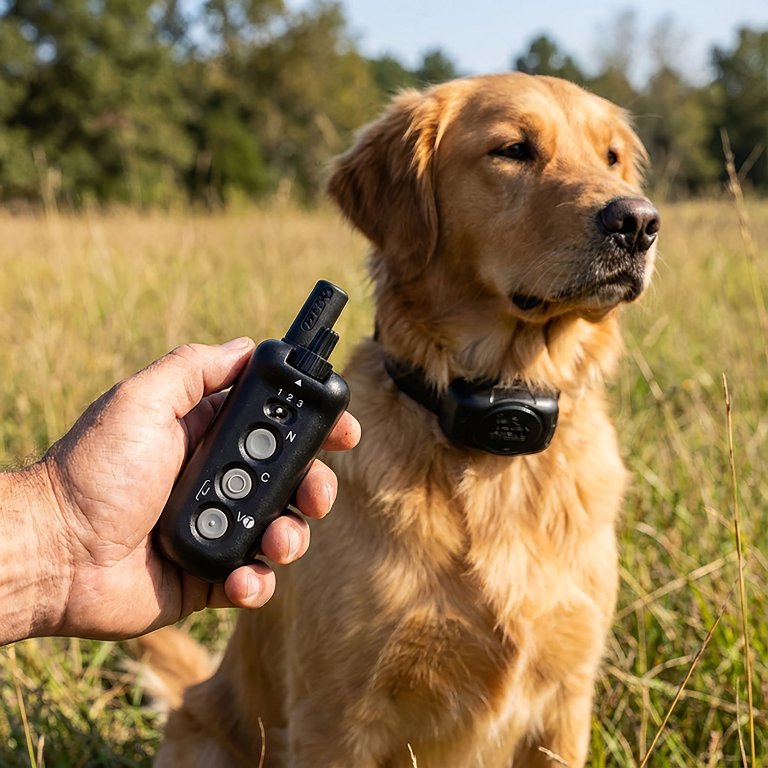 D.T. Systems D.O.G. Director 700 Dog Training Collar                                                                             - view number 2