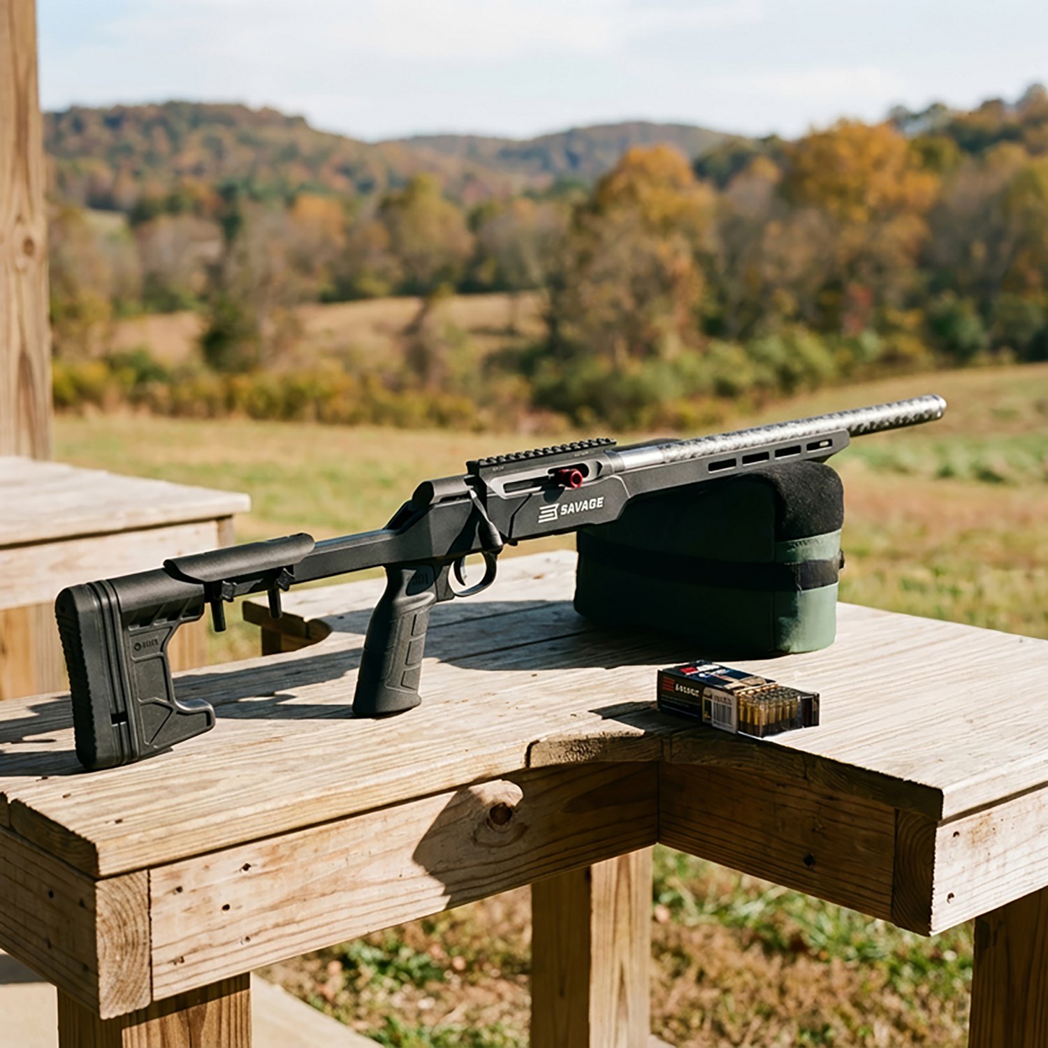 Savage Arms A22 Precision Lite 22 LR Rifle - view number 4