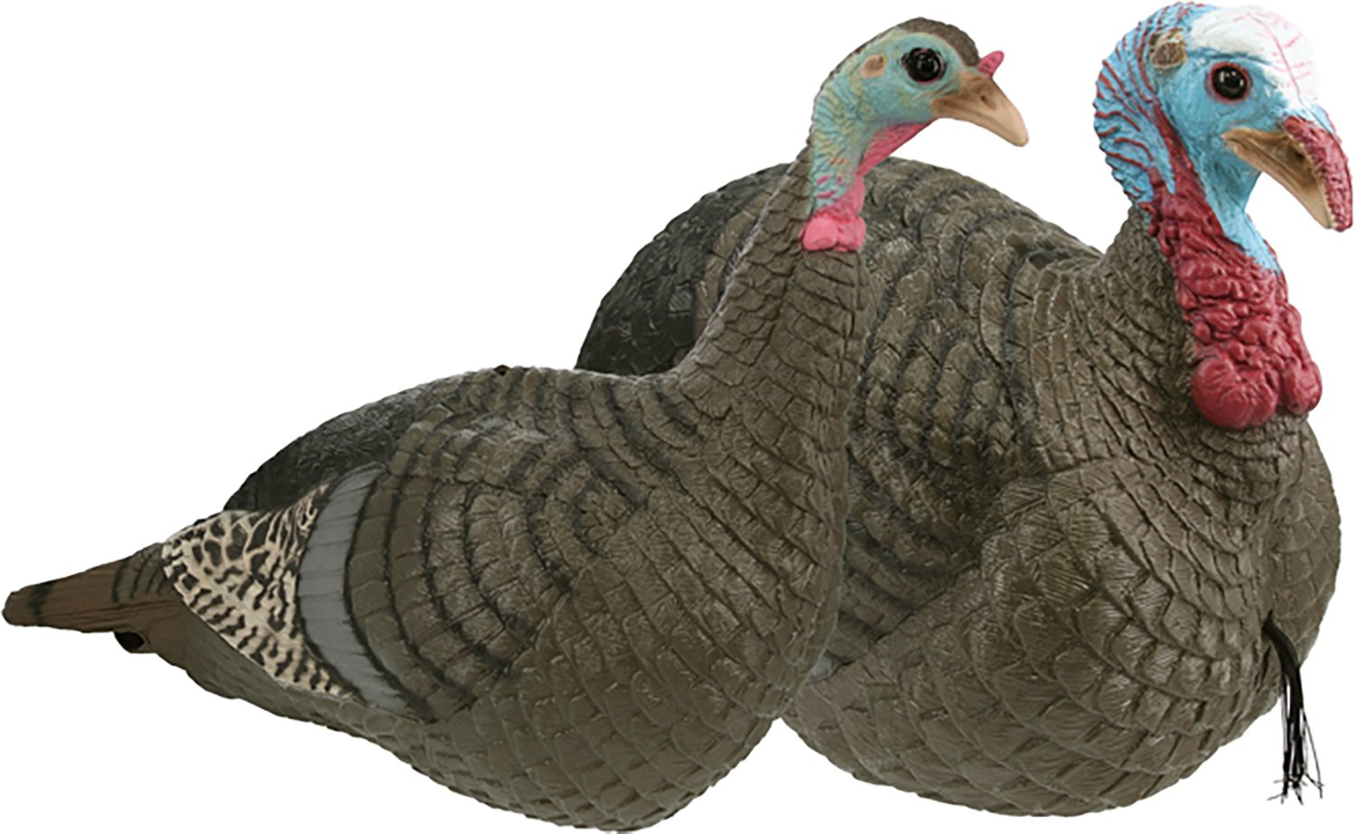 HS Strut Lite Jake & Feeding Hen Decoy Combo