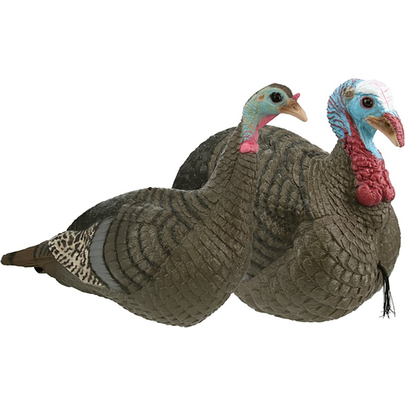 Hs Strut Lite Jake & Feeding Hen Decoy Combo