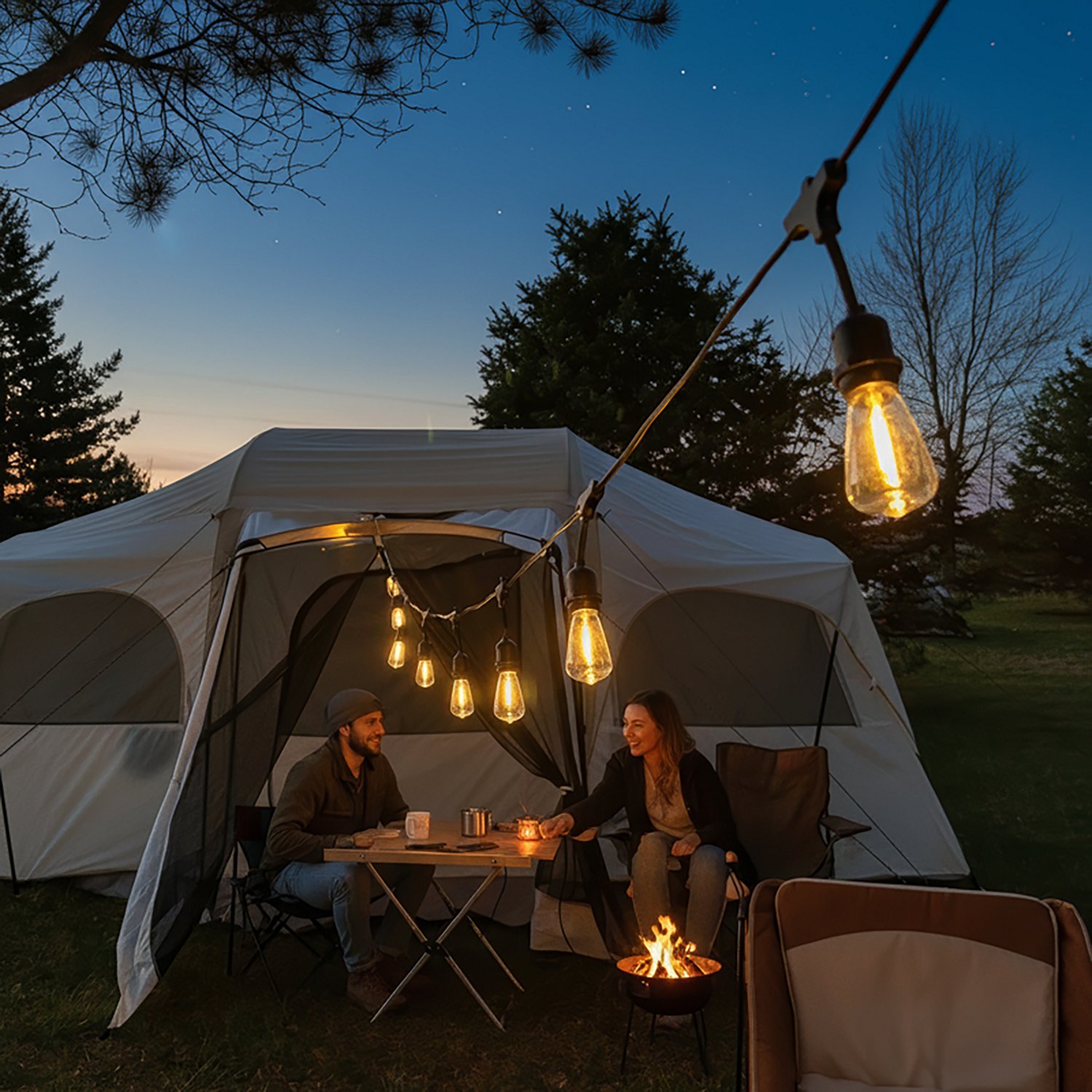 Brightz Edison Bulb Plug-In String Lights - view number 6