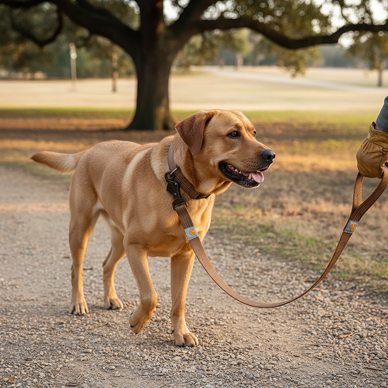 Carhartt Dog Leash - view number 3