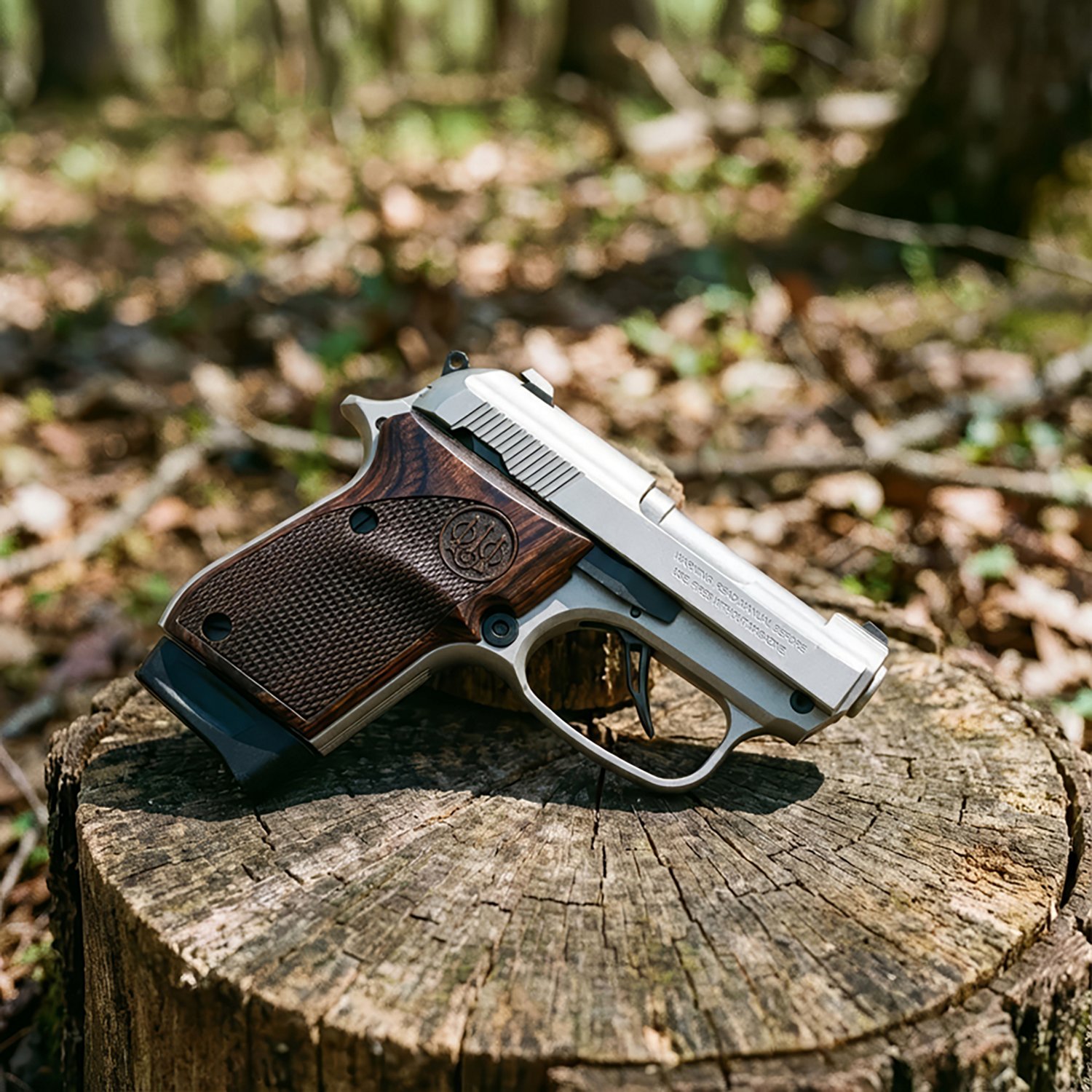 Beretta 30X Tomcat .32 ACP Semiautomatic Pistol - view number 5