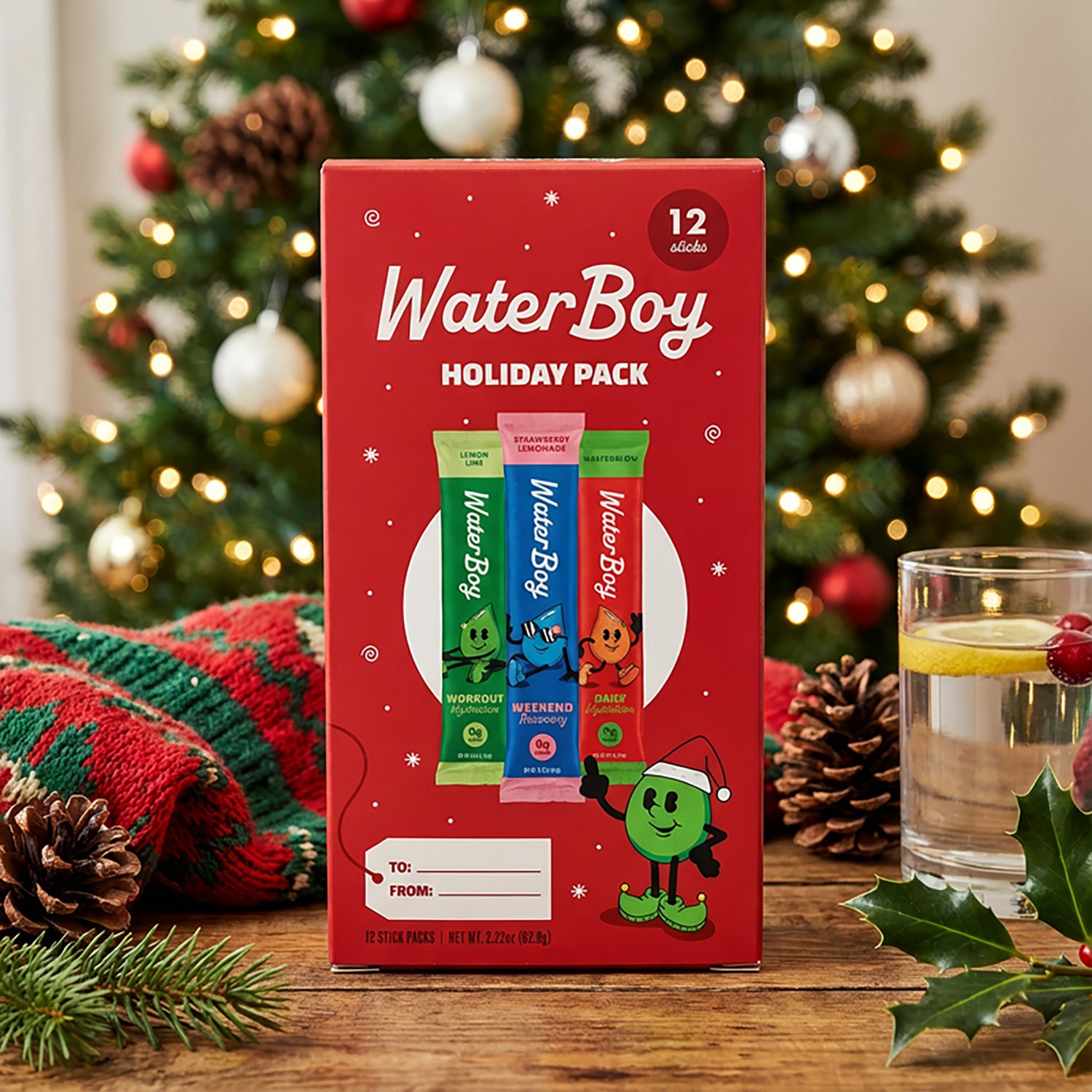 Waterboy Holiday Gift Box Variety 12 Pack - view number 6
