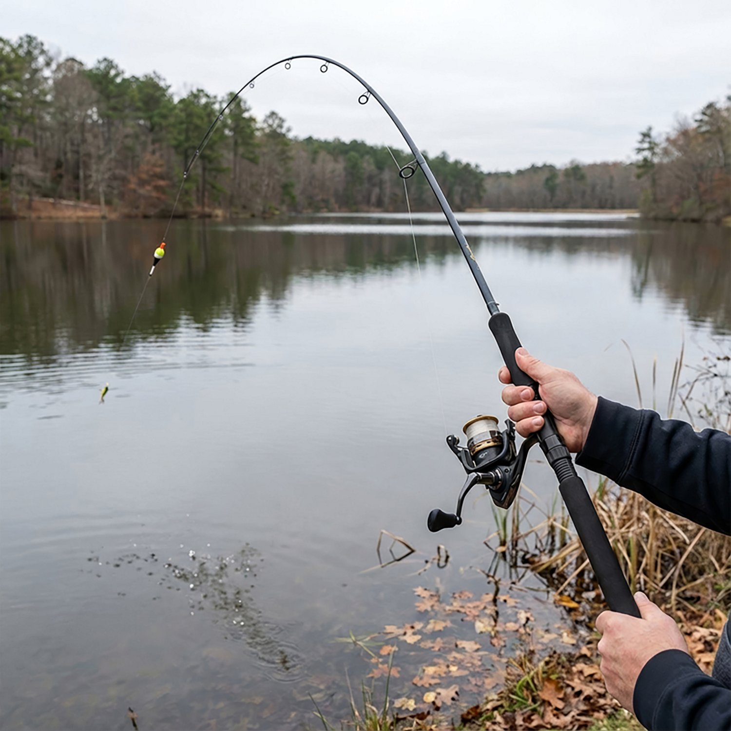 B 'n' M Buck's 11' Freshwater Graphite Panfish Rod                                                                               - view number 3