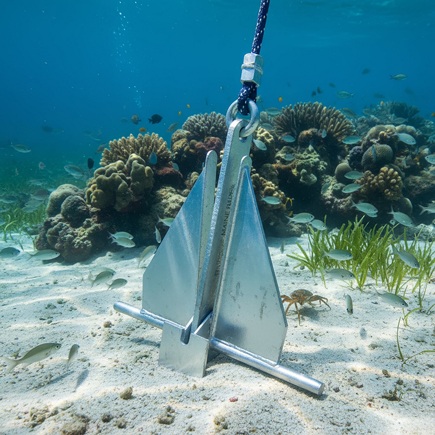 Marine Raider 13 lb. Fluke Anchor - view number 2