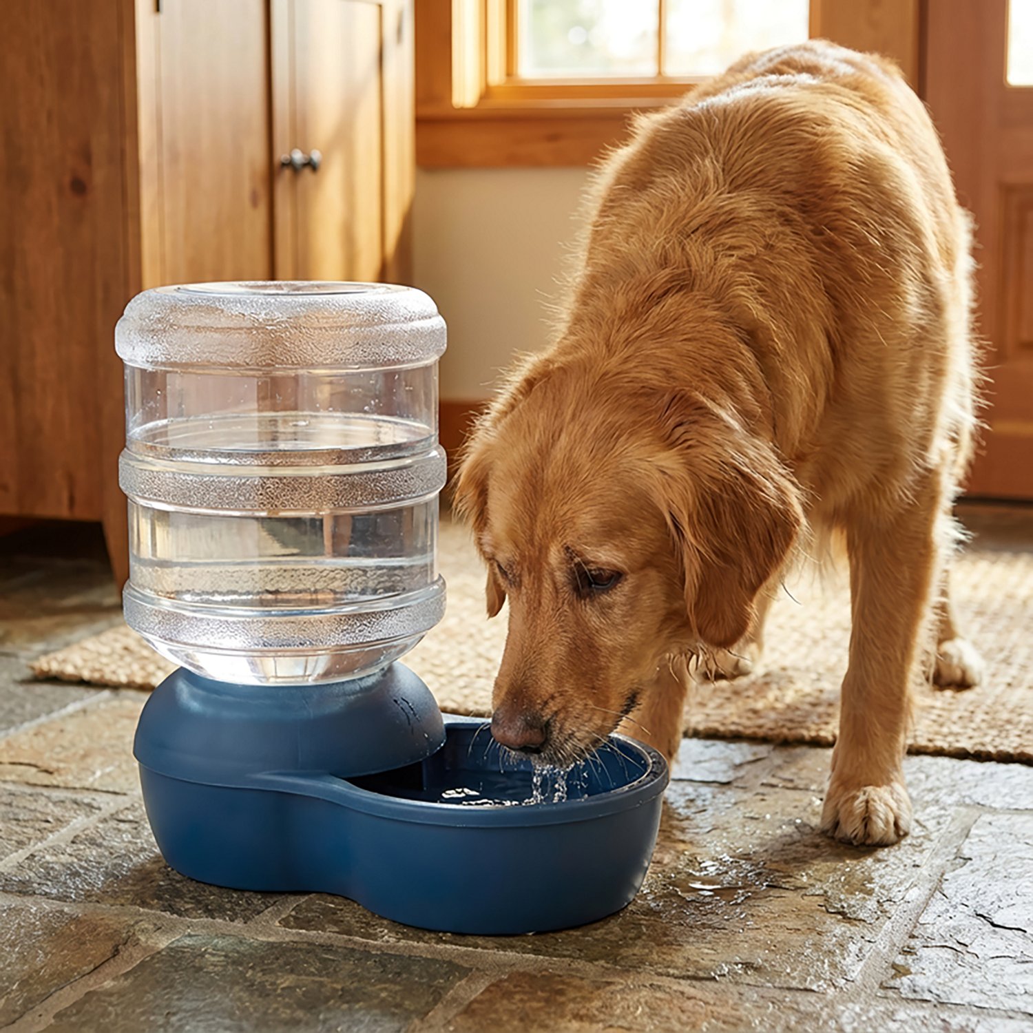 Aspen Pet 2.5-Gallon LeBistro® Waterer - view number 2