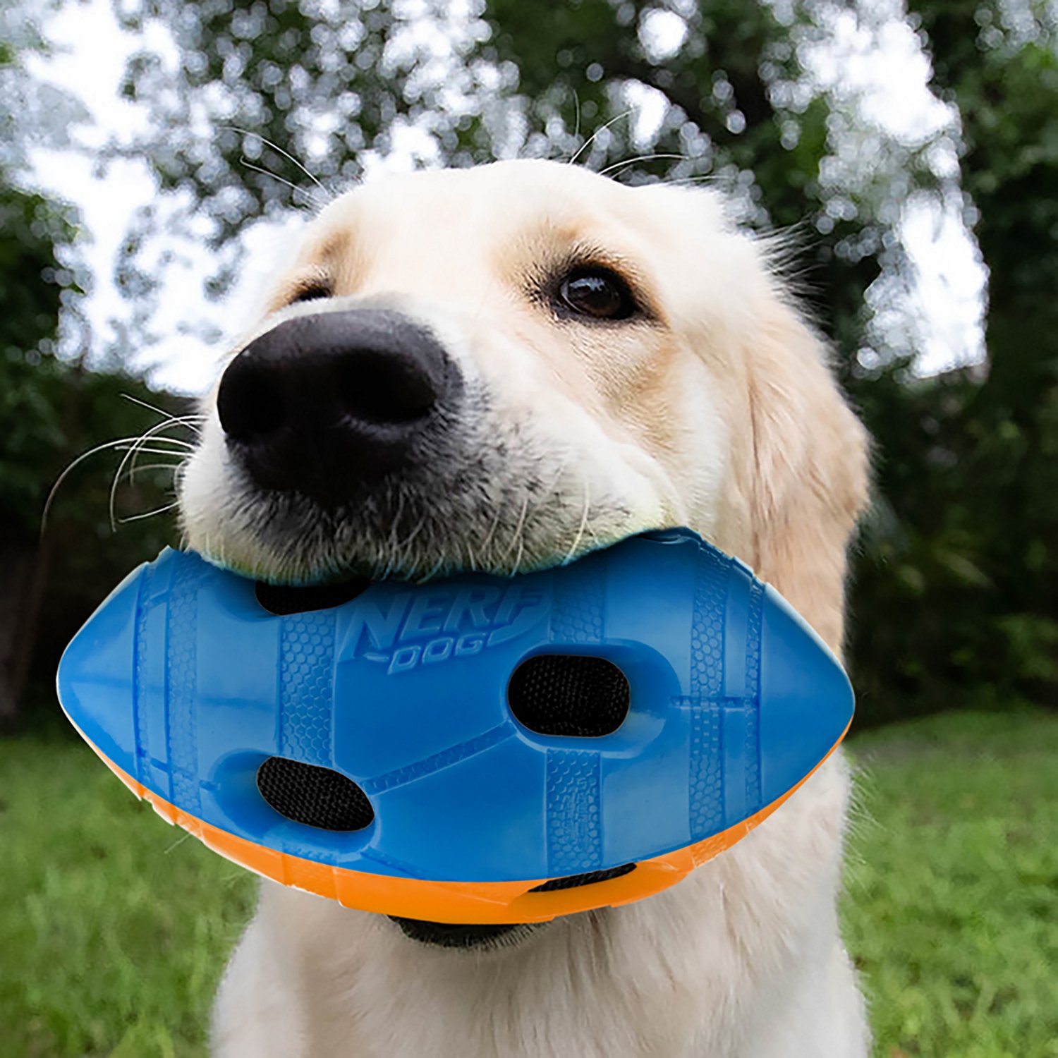 Nerf Dog TPR Bash Squeak and Crunch Football Toy - view number 6