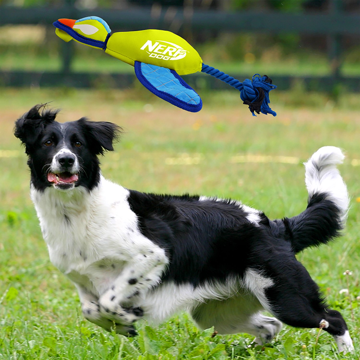 Nerf Dog Nylon Crinkle Wing Launching Duck Toy - view number 3
