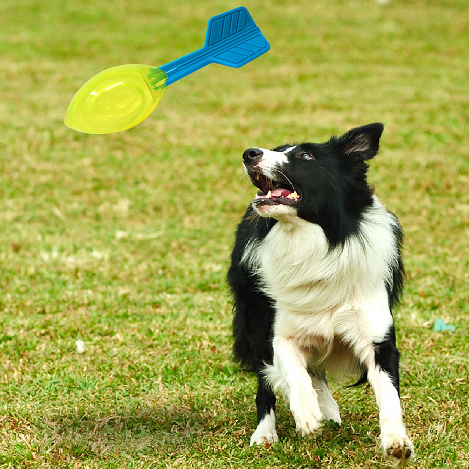 Nerf Dog TPR Squeak Vortex Toy - view number 3