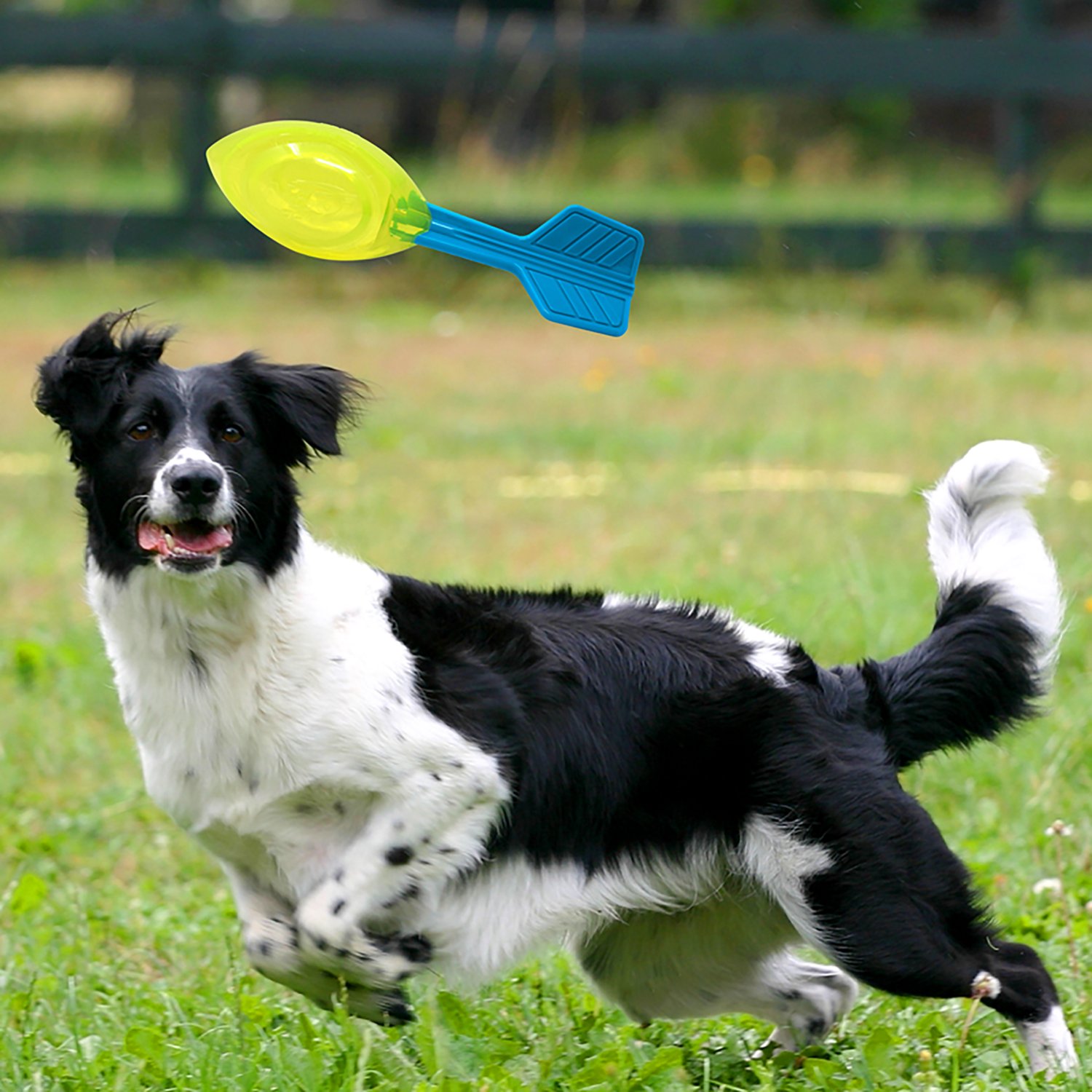 Nerf Dog TPR Squeak Vortex Toy - view number 6