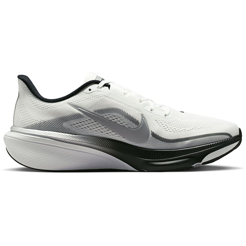 Nike Men's Pegasus …
