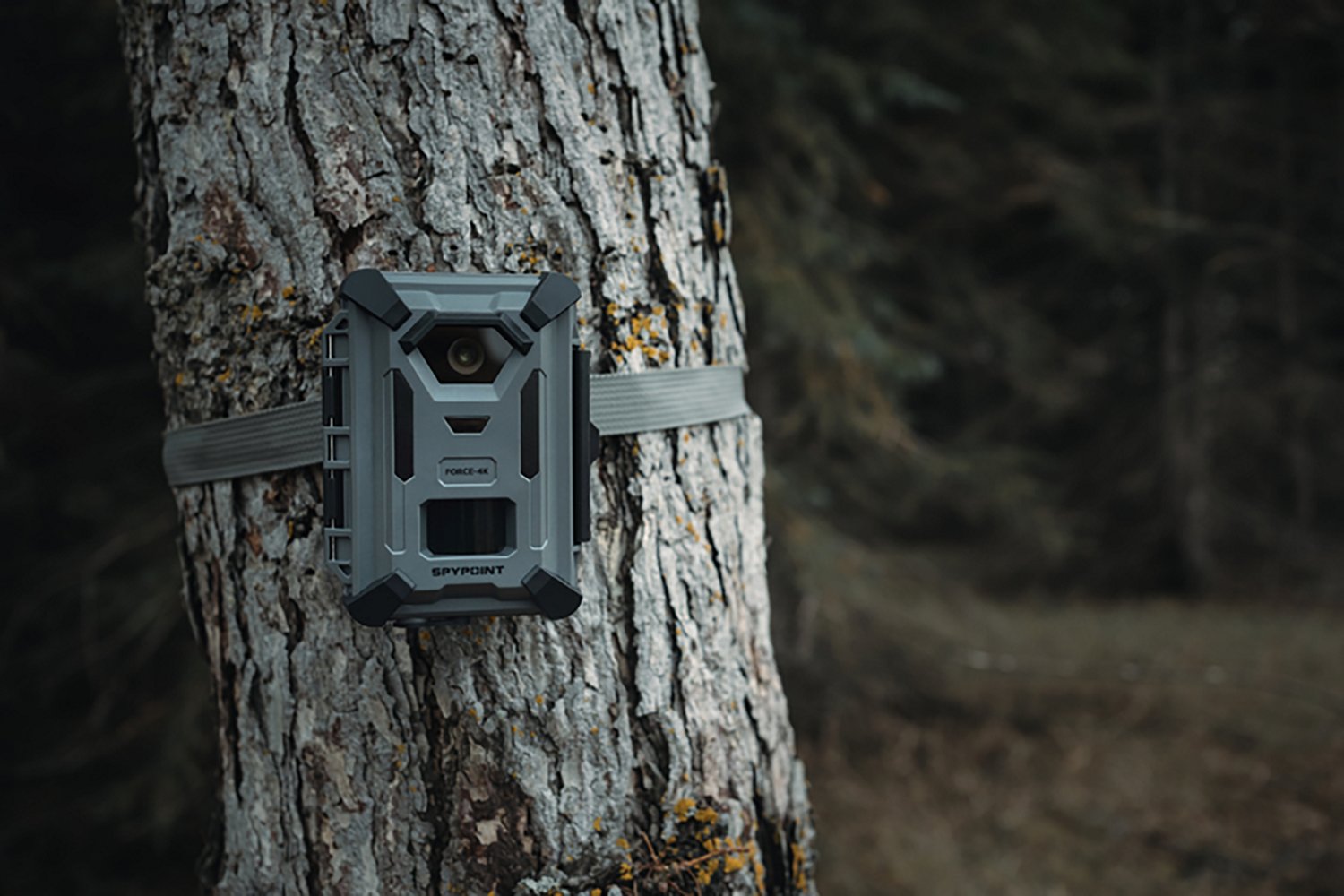 SpyPoint Force-4K 48.0 MP Non-Cellular Trail Camera - view number 5