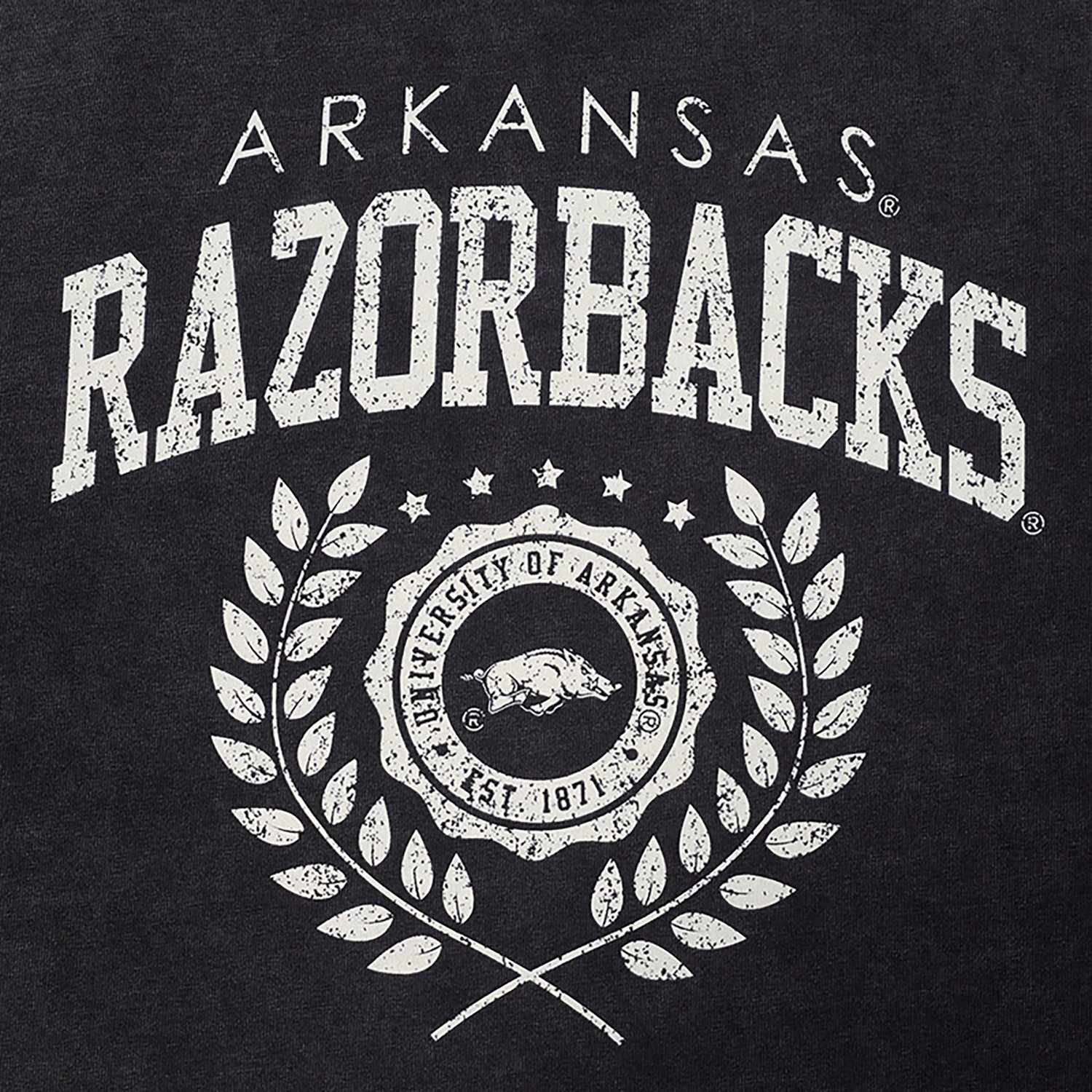 Pro Standard Women's Arkansas Razorbacks Street Team Enzyme Wash Boxy Crop Short Sleeve T-shirt - view number 6