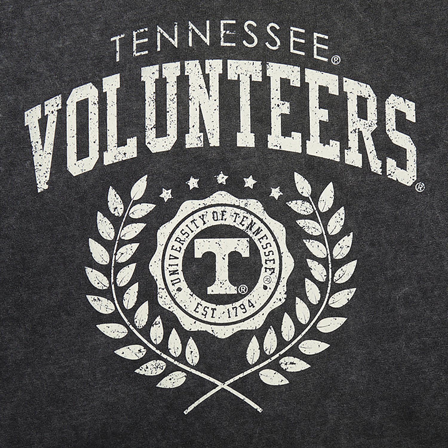 Pro Standard Women's Tennessee Volunteers Street Team Enzyme Wash Boxy Crop Short Sleeve T-shirt - view number 5