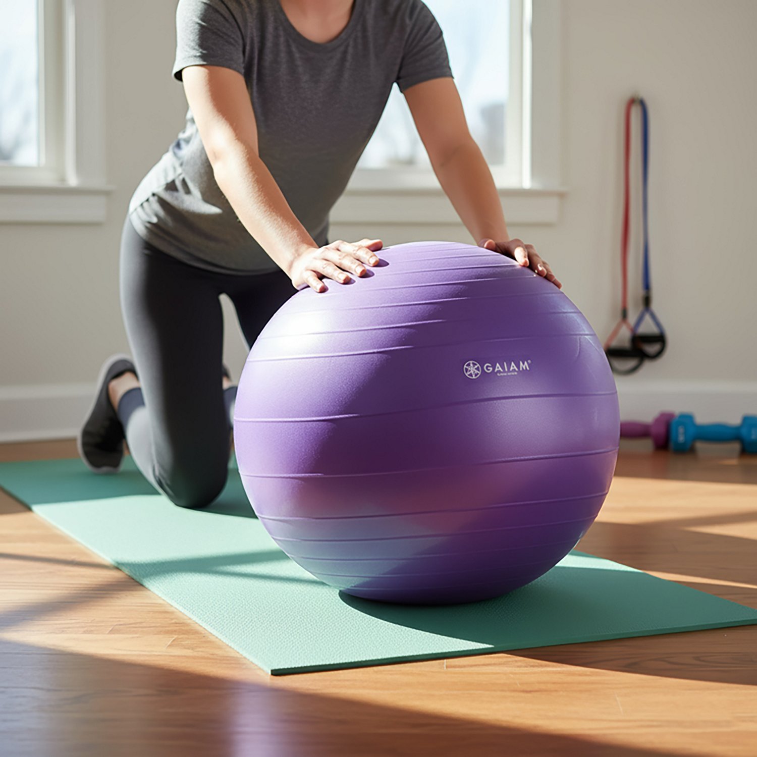 Gaiam Eco Total Body 55 cm Balance Ball Kit                                                                                      - view number 2