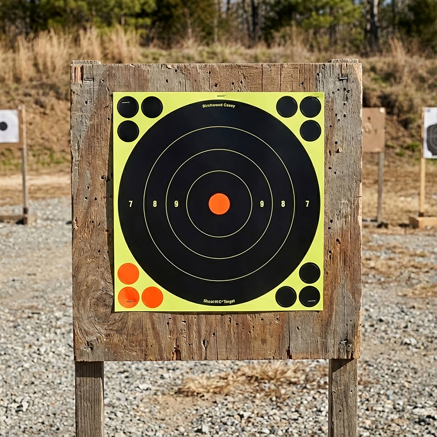 Birchwood Casey Shoot-N-C Self-Adhesive 8-in Bull's-Eye Targets 30-Pack - view number 2