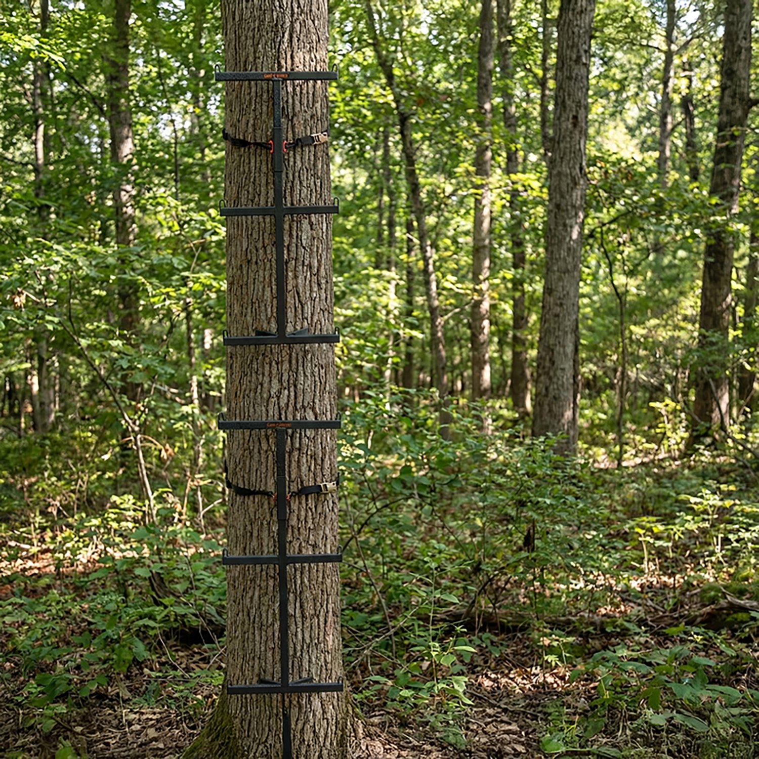 Game Winner Climbing Sticks 2-Pack - view number 2