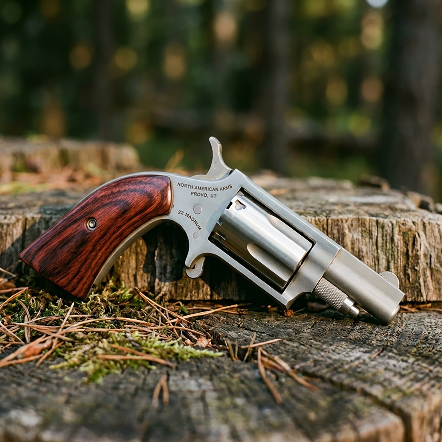 North American Arms Boot Style Grip .22 WMR Revolver                                                                             - view number 2