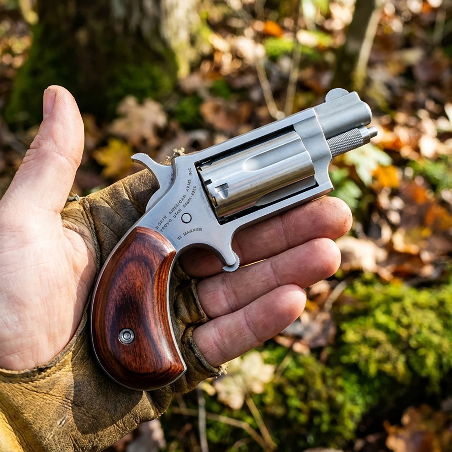 North American Arms Rosewood Grip .22 Magnum Revolver - view number 2