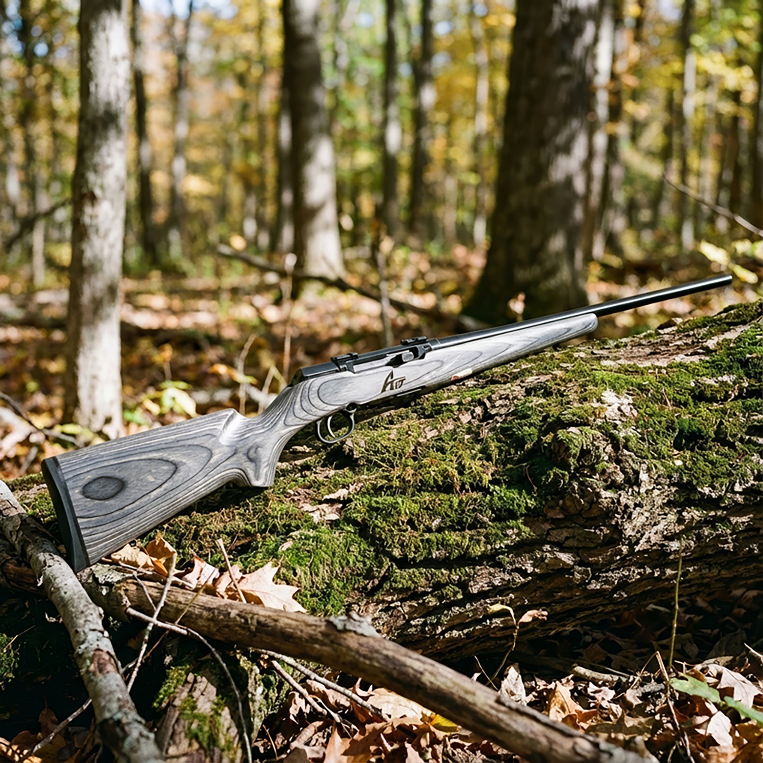 Savage Arms A17 Sporter .17 HMR Semiautomatic Rifle - view number 2