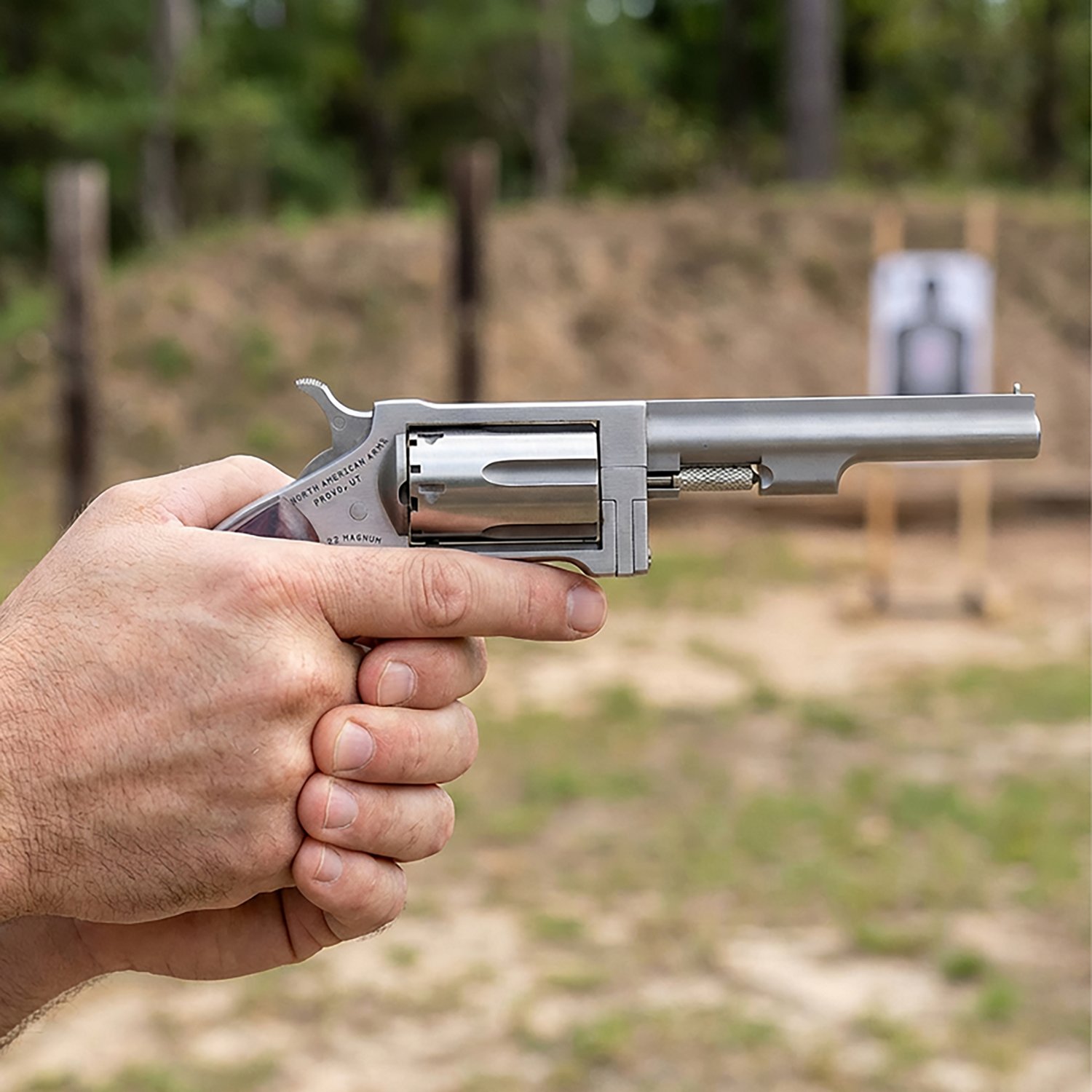 North American Arms 22 Magnum Sidewinder .22 WMR/.22 LR Revolver - view number 3