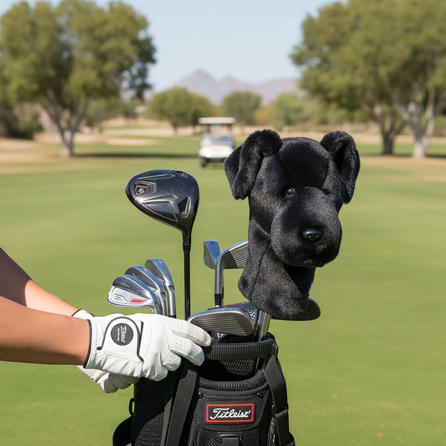 Daphne's Headcovers Black Lab Driver Headcover                                                                                   - view number 3