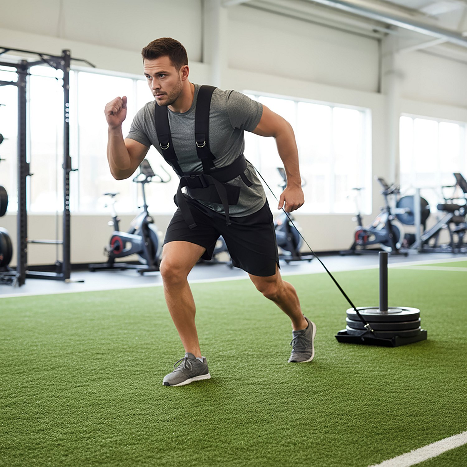 BCG Speed Sled                                                                                                                   - view number 6