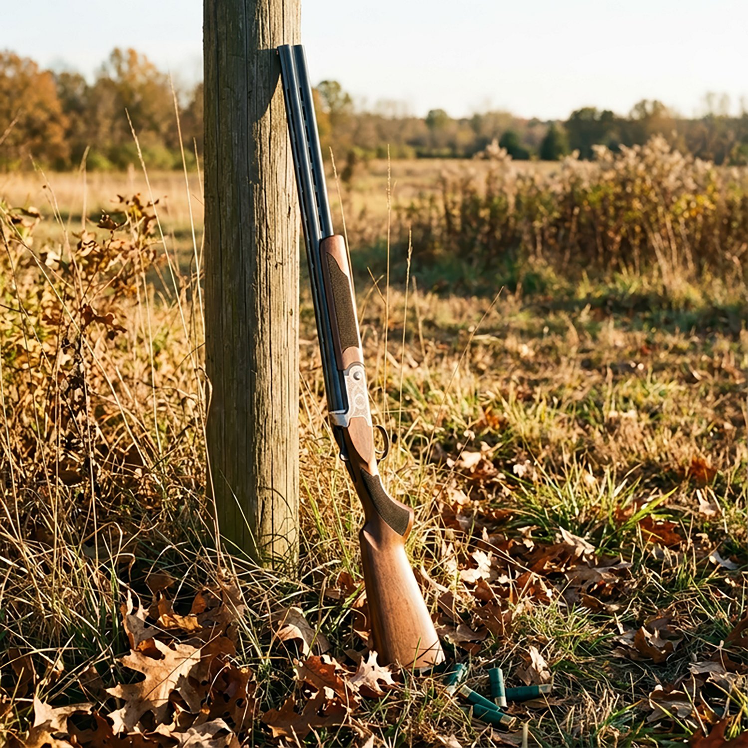 Pointer Acrius 20 Gauge Over & Under Shotgun                                                                                     - view number 3